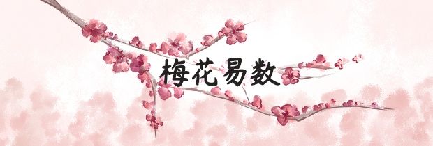 【知识点】《邵康节梅花易数篇》之梅花易数