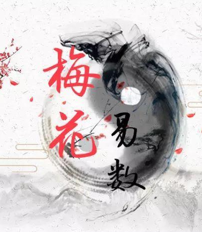 《梅花易数》——断卦法则2023-06-19